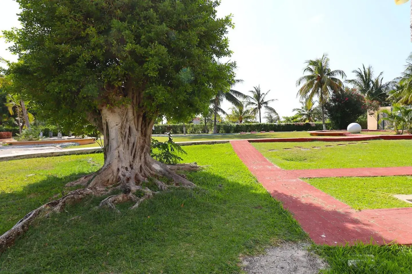 Lindo Estudio A Un Lado Del Campo De Golf, #B - Gre301B - Apartment Cancun Mexico